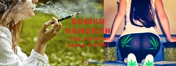 молекула духа Богданович